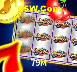 Login Seguro 79M